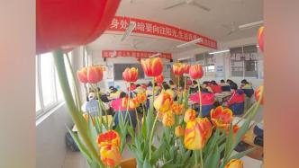 90后班主任帶同學(xué)們種植郁金香：感受春天