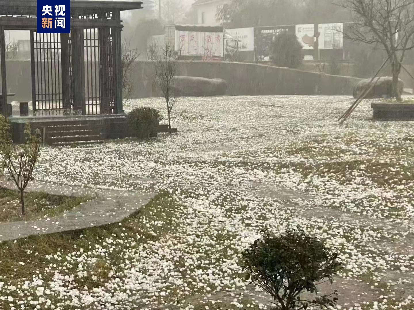 福建福鼎遭遇强对流天气，部分乡镇出现暴雨冰雹绿政公署澎湃新闻 The Paper 6741