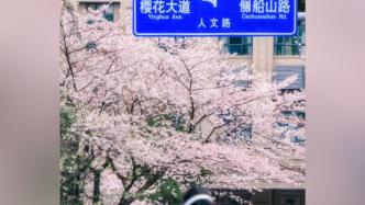 2023年武汉大学“社会公众赏樱预约通道”已关闭