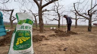 甘肃庆阳高标准农田建设乱象调查：“数字造田”，违规施肥