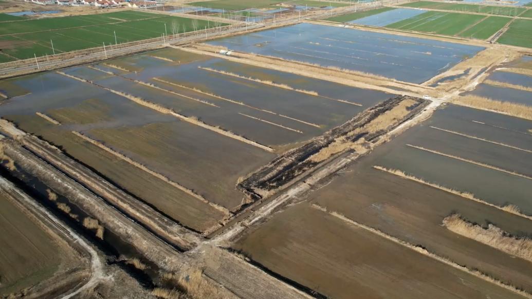 山东东营：黄河口春灌正当时