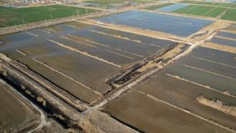 山东东营：黄河口春灌正当时