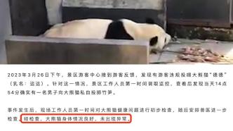 浙江德清一景区回应游客向大熊猫投掷竹笋：大熊猫未出现异常