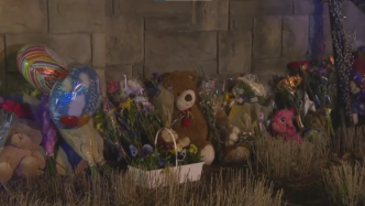 美国一小学枪击案致6人遇难，悼念现场摆满鲜花、气球和泰迪熊