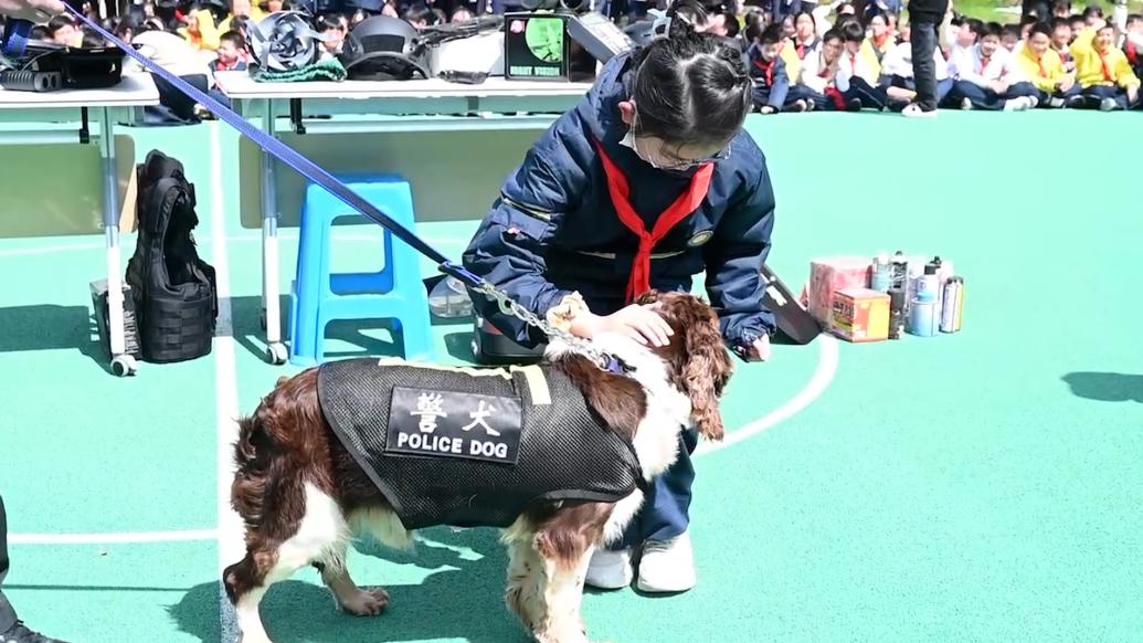 地铁“汪汪警队”进校园，上海这些孩子沉浸式学习地铁安全小知识