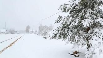 白俄罗斯部分地区降大雪，造成电力中断