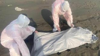 台湾一个月以来发现20具海上浮尸，部分为越南籍