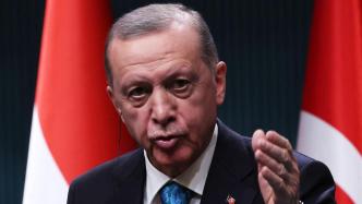 土总统埃尔多安：不会允许西方将土耳其拖入对俄战争