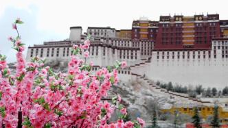 西藏：升国旗纪念百万农奴解放64周年