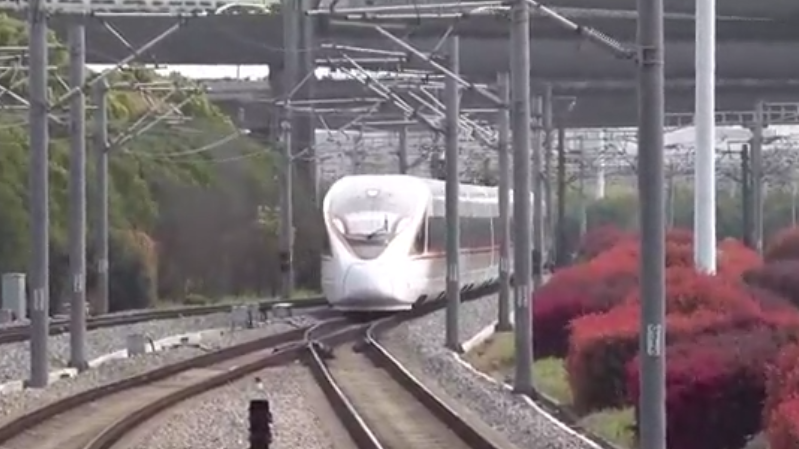 沪港高铁恢复开行，乘客：享受坐高铁能看到的春景