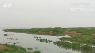 鄱阳湖区通江水体面积今年首次突破1000平方公里