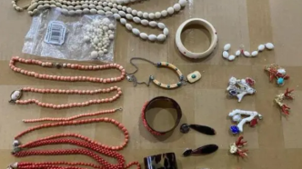 成都海关查获“百宝箱”，内含多件象牙、红珊瑚和砗磲制品