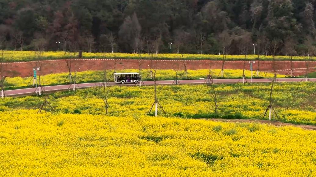 武漢江夏：廢棄礦山變身生態公園