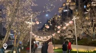 一场苏州河畔的樱花盛宴，上海天安千树樱花市集来了