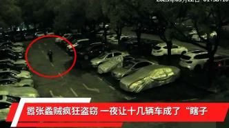 上海14辆汽车一夜之间“变盲”，男子自学技术疯狂盗窃后视镜终落网