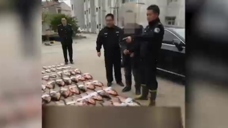 禁渔期4人非法电鱼1200斤被刑拘