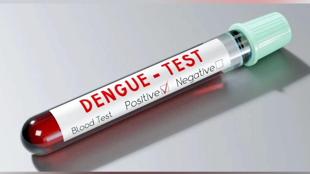 女子到東南亞旅游回國(guó)后發(fā)燒，被確診登革熱