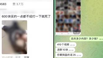 卧底虐猫群：几个G视频仅售20元，群成员不少高学历