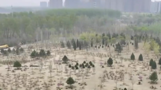 习近平在参加首都义务植树活动时强调，掀起造林绿化热潮，绘出美丽中国的更新画卷