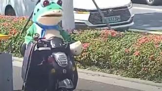 “网红蛙”骑电动自行车不佩戴头盔，被交警逮了个正着