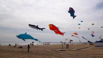 春风起彩鸢飞，天津东疆湾沙滩风筝节开幕