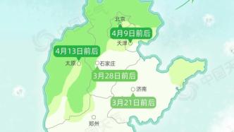 今年杨柳絮预警地图来了，北京天津等地将进入高发期