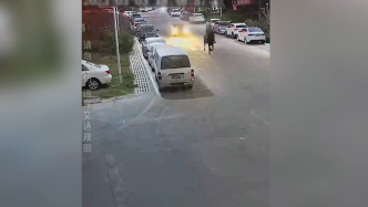 男子路上策马奔腾一头撞上小车