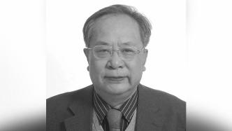 69岁地理学者、国科大教授王铮病逝，致力于发展政策模拟