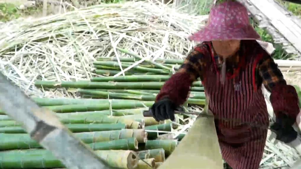 福建宁化：手工造纸历史悠久