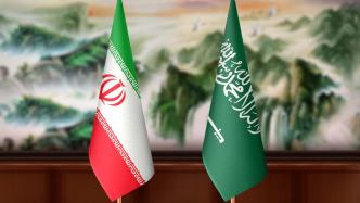 外媒：沙特外交大臣与伊朗外长明日将在北京会晤