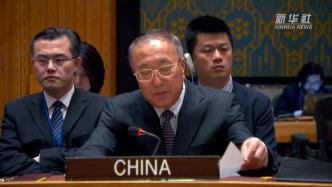 中国代表：国际社会支持马里政府开展反恐行动