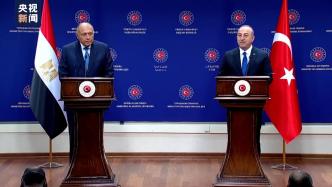 埃及外长访问土耳其，两国同意改善关系