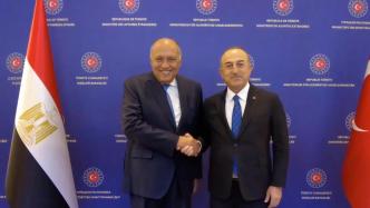 土耳其外长表示土将与埃及恢复大使级外交关系