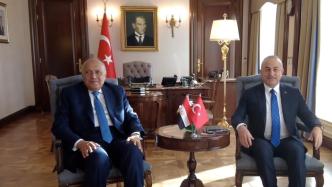 土耳其外长：土将与埃及恢复大使级外交关系