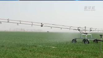 河北文安：高效节水灌溉带动农业提质增效