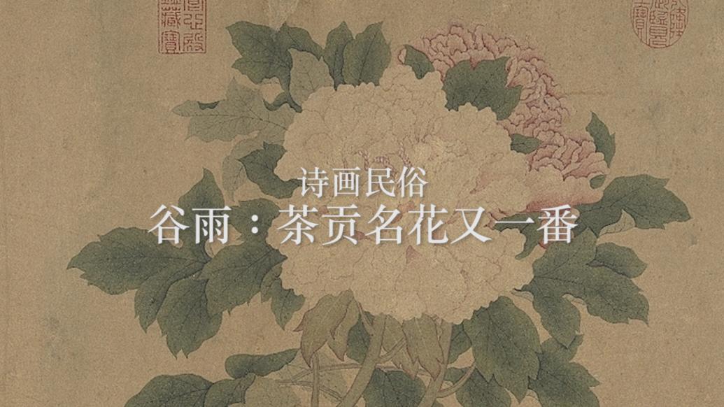 诗画民俗｜谷雨：茶贡名花又一番