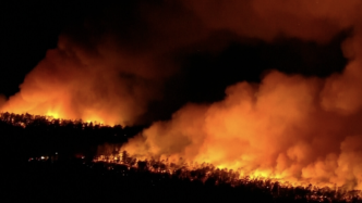 美国新泽西州爆发山火，当地居民被迫撤离