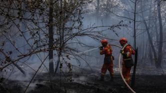 玉溪森林火灾火场转入看守清理阶段，未造成人员伤亡