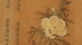 南宋绘画中的博物图谱——以旧传杨婕妤《百花图卷》为例