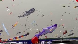 山东潍坊各色风筝漫天飞舞，把天际线装点成“海洋世界”