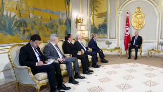 突尼斯总统：坚定希望恢复和叙利亚的历史兄弟情谊与合作关系