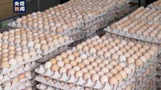 日本多地发生禽流感，鸡蛋供应短缺价格高涨