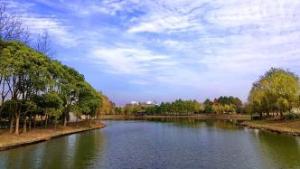 环城生态公园带、绿道、美丽街区怎么建设？上海市绿化市容局回应