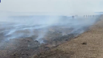 中蒙边境一线火场仍有烟点，森林消防部门继续纵深清理