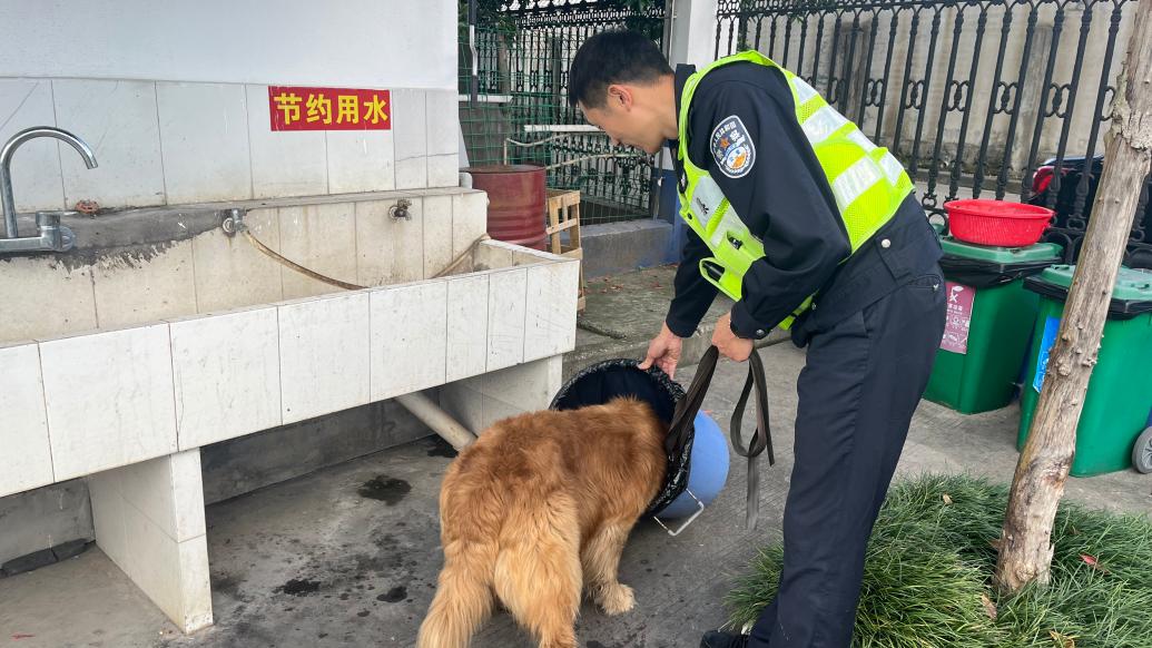 金毛犬誤入高速公路，見民警前來營救主動跳上警車坐下