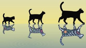 迄今最重“薛定谔的猫”出现，有望催生更大更稳健量子比特