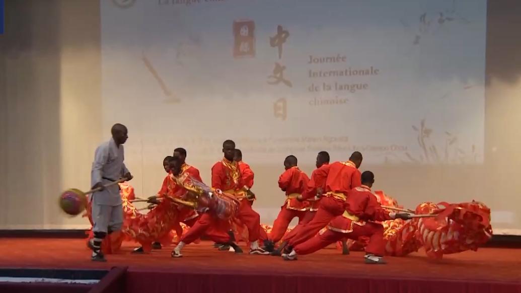 刚果（布）举行世界读书日活动，感受中国文化魅力