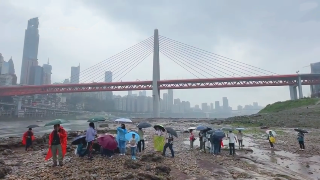 江北嘴江滩上的岩石到底有好多岁？旅游地学专家：1.5亿岁