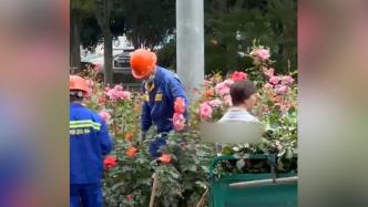 园林工人把修剪下的鲜花赠路人