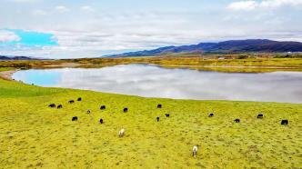 青藏高原生态保护法表决通过，9月1日起施行